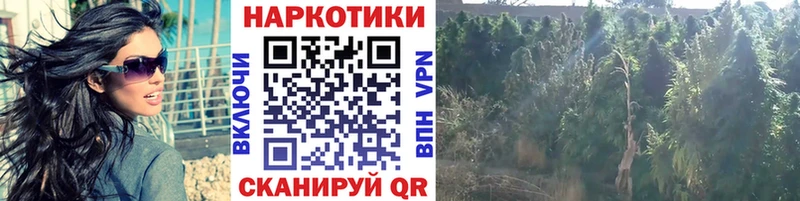 Цена Ряжск Гашиш  КОКАИН  Меф  Каннабис 