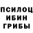 Галлюциногенные грибы Magic Shrooms Brayan. More