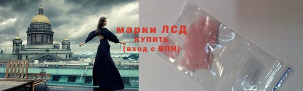 гашик Осинники