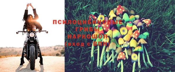 гашик Осинники