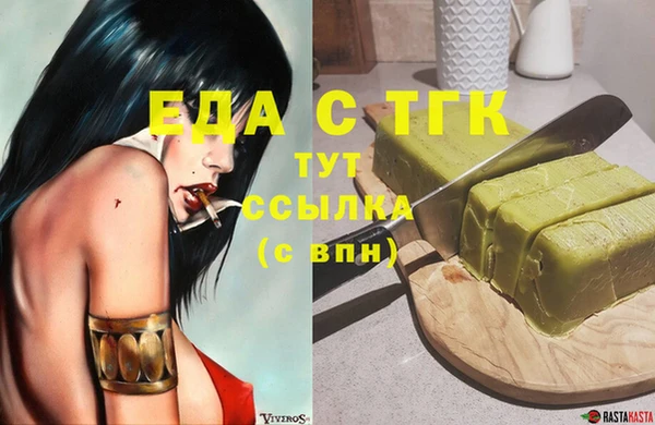 гашик Осинники