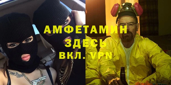 гашик Осинники