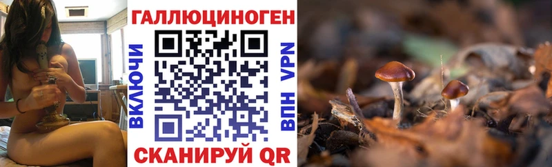 Псилоцибиновые грибы Cubensis  Ряжск 